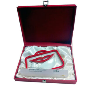 trofeo recortado en forma de metacrilato maleta