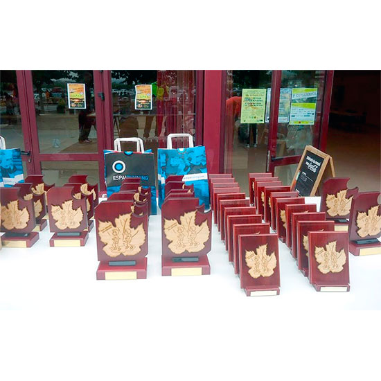 PDM gifts trofeo de madera personalizado